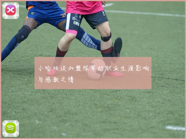 小哈珀谈加盟绿军的职业生涯影响与感激之情