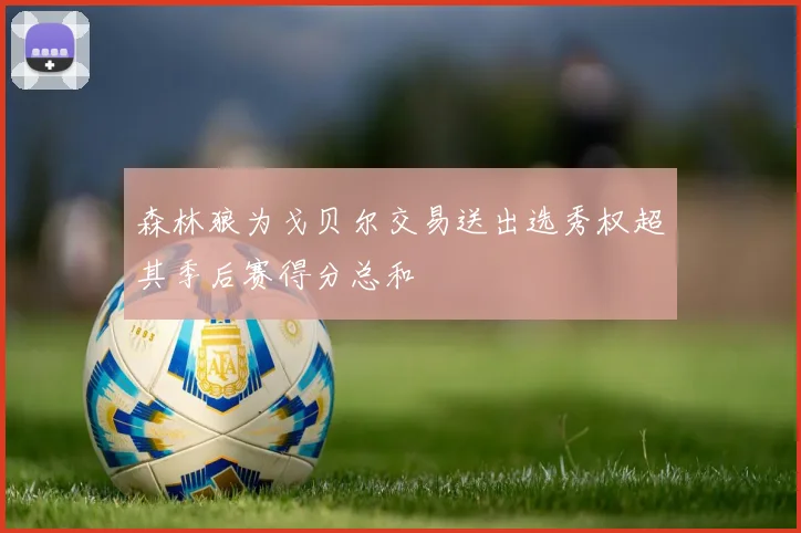 森林狼为戈贝尔交易送出选秀权超其季后赛得分总和